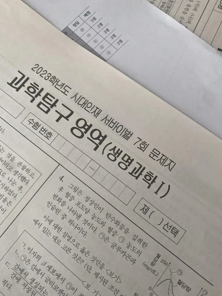 생1 브릿지